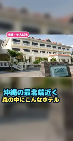 おじさんのTikTok投稿