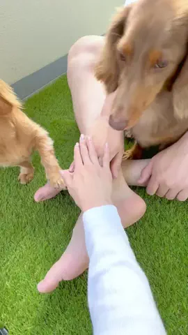 kuku.yoyo_boyのTikTok投稿