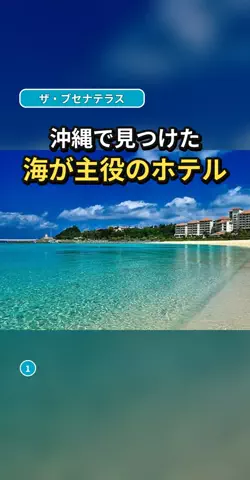 おじさんのTikTok投稿