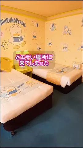 西園路ナビのTikTok投稿