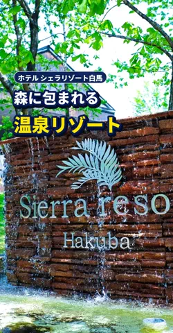 おじさんのTikTok投稿