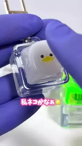 にゃんだ子🐥アヒルの人のTikTok投稿