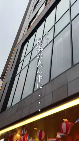 なつ | 横浜 × カフェ・グルメのTikTok投稿