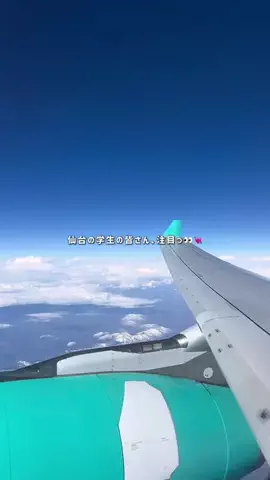 仙台女子部のTikTok投稿