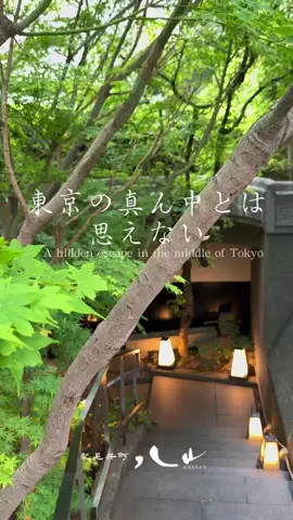 👨‍💼ビジネスグルメのTikTok投稿