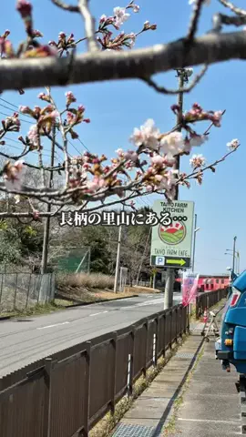 九十九里トリップナビ/しのとものTikTok投稿