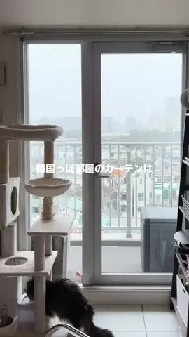 ろの暮らしのTikTok投稿