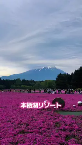 MinacoのTikTok投稿