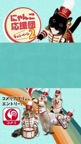 コメリ【公式】のTikTok投稿