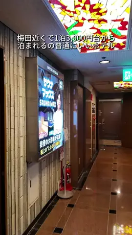 キンベル|格安旅行案内人のTikTok投稿
