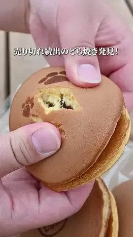 たまめし｜埼玉穴場グルメのTikTok投稿