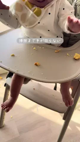 ちょこ￤ いまを大切にする暮らしのTikTok投稿
