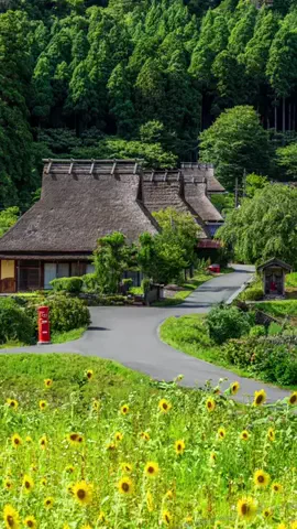 kenken / 絶景撮る人 📸のTikTok投稿