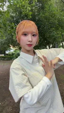 ちゃをのTikTok投稿