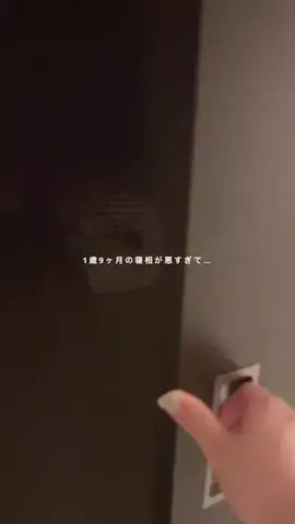くま夫婦のTikTok投稿