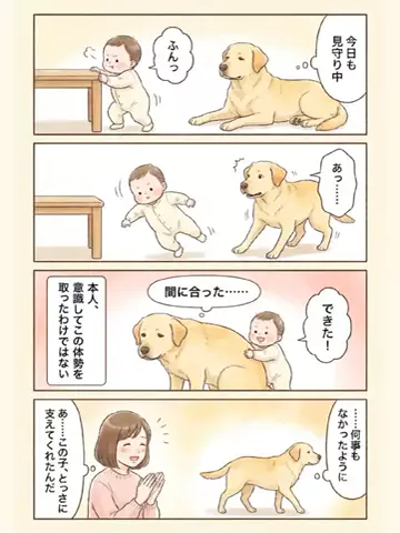 都内のチワワのTikTok投稿