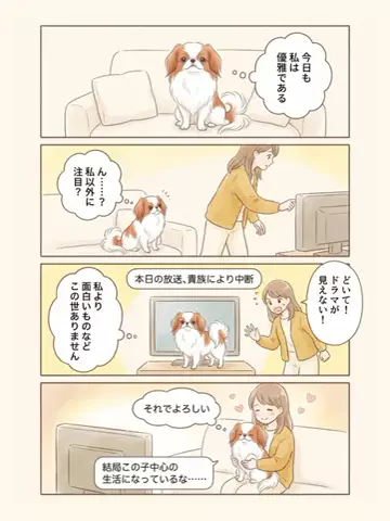 都内のチワワのTikTok投稿