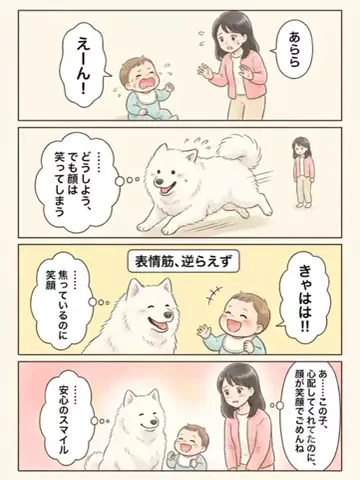 都内のチワワのTikTok投稿