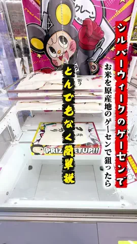 コッシー【クレーンゲーム動画クリエイター】のTikTok投稿