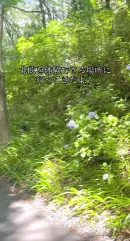 かおる✈️ / Kaoru☀︎のTikTok投稿