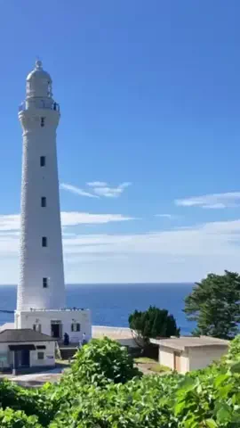 ココロ旅人のTikTok投稿