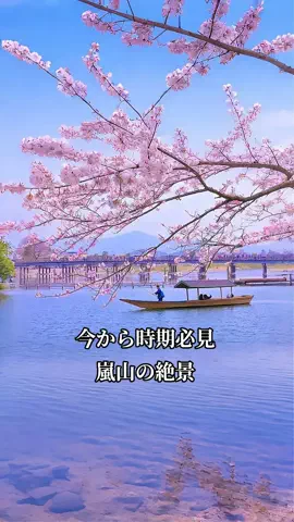 ココロ旅人のTikTok投稿