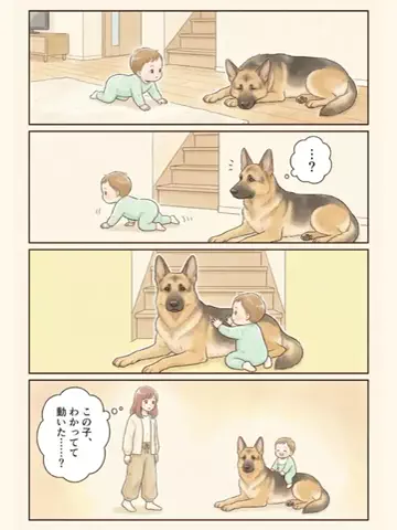 都内のチワワのTikTok投稿