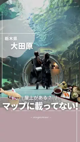 りん￤栃木のグルメとスポット👭のTikTok投稿