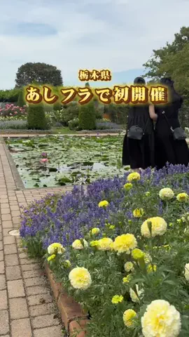 りん￤栃木のグルメとスポット👭のTikTok投稿