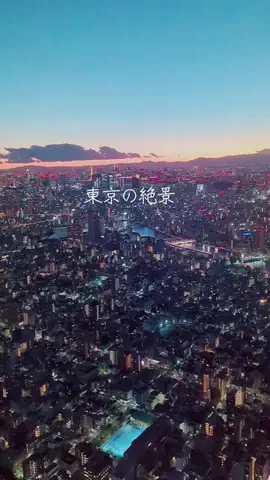 ココロ旅人のTikTok投稿