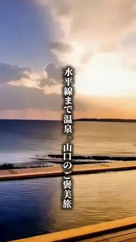 ココロ旅人のTikTok投稿