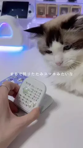 あやみるーむ 🌙のTikTok投稿