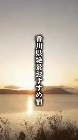 ココロ旅人のTikTok投稿