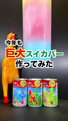 100均界隈の綿フェザーのTikTok投稿