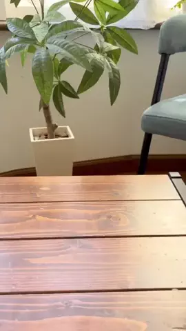 から子のTikTok投稿