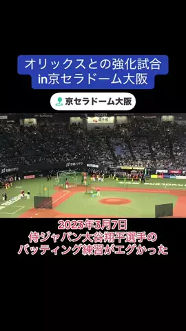 D-TigerのTikTok投稿