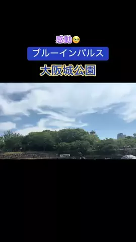 D-TigerのTikTok投稿