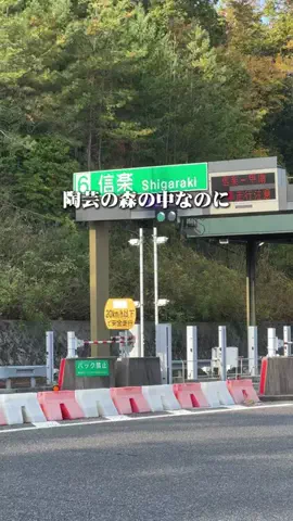滋賀グルメ／SHIGA SELECTのTikTok投稿