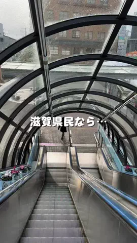 滋賀グルメ／SHIGA SELECTのTikTok投稿