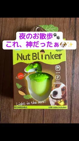 SORA🐶トイプーの日常のTikTok PR投稿：夜散歩の必需品になった🐶✨ 小さいのにちゃんと明るい…