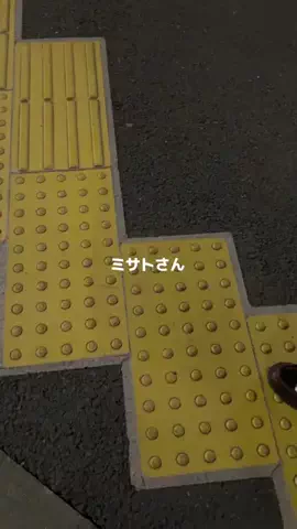 ﾐｻﾄ/お家まで我慢ね？のTikTok投稿