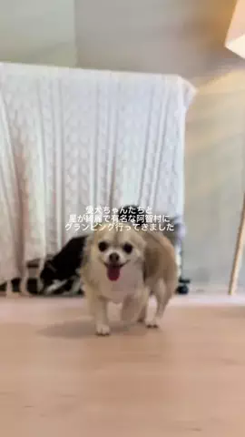 moe★のTikTok投稿