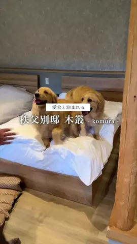 ちあとひまわりのTikTok投稿