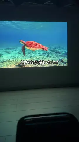 すぐる@iPhone・ガジェットのTikTok投稿