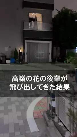 真夜中の若者たちのTikTok投稿