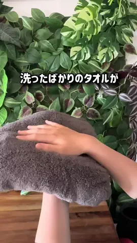 コストコ好き主婦みんごのTikTok投稿