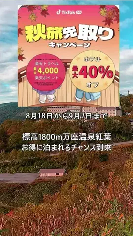 おでかけポコのTikTok投稿