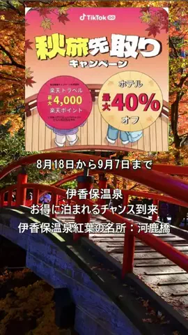 おでかけポコのTikTok投稿