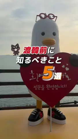 くろねこしろねこ😸海外旅行🌏のTikTok投稿