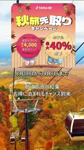 おでかけポコのTikTok投稿